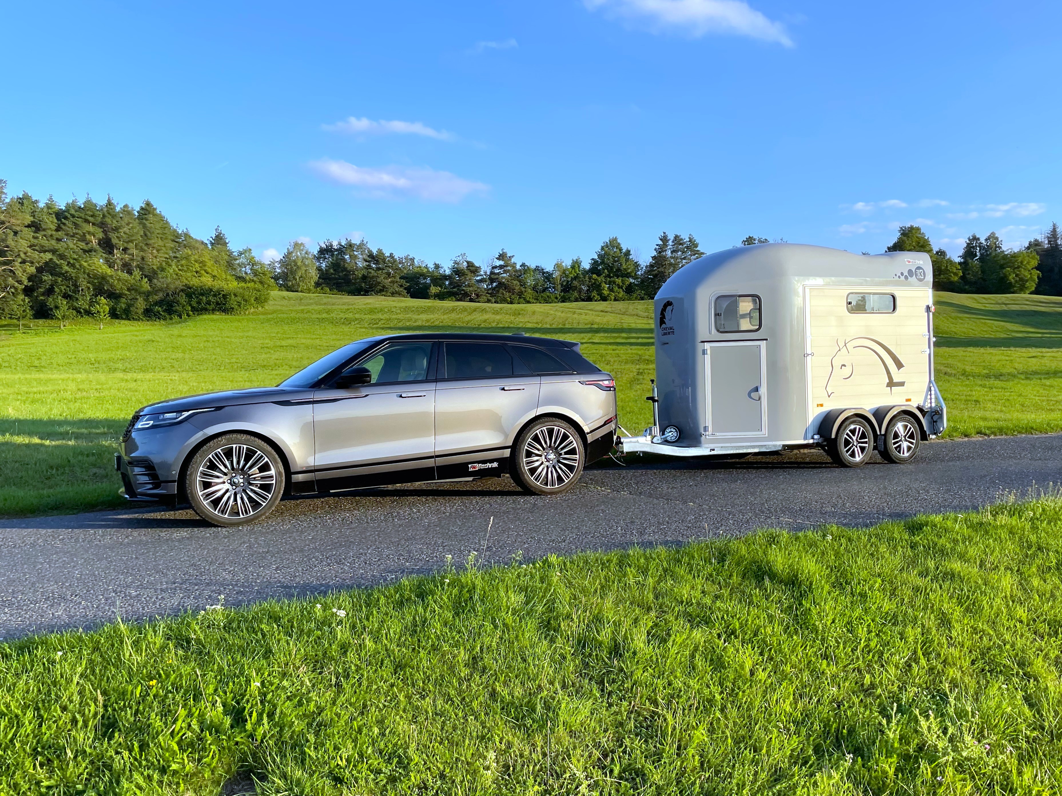 Cheval Liberté Gold 3 grau